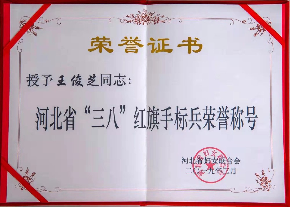 河北省“三八”红旗手标兵荣誉称号