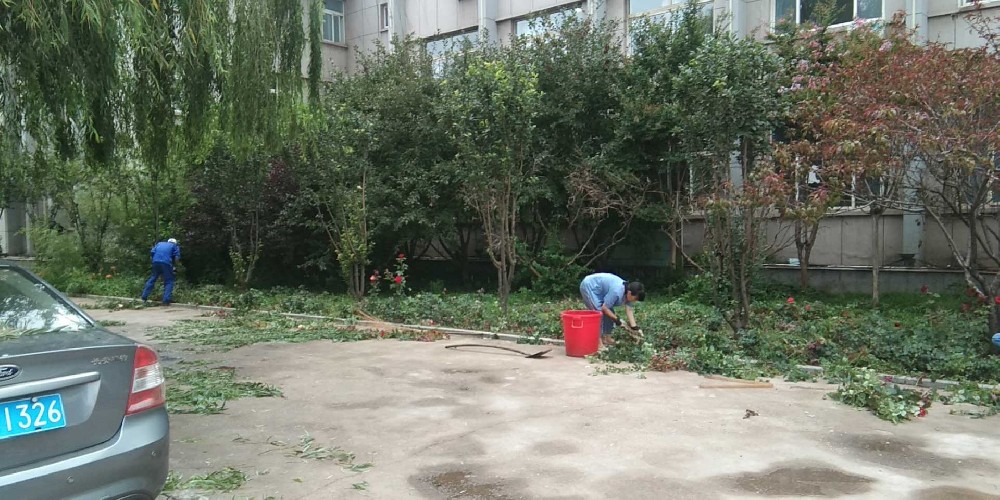 保洁案例